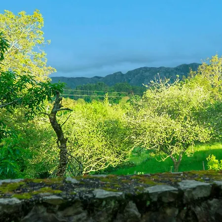 Casa Del Sur El Collau Casa rural *