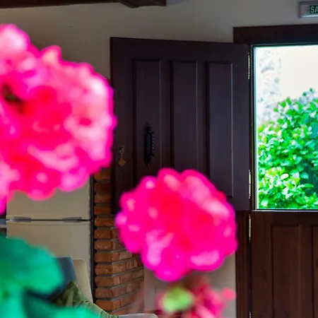 Casa Del Sur El Collau Casa rural Porrúa